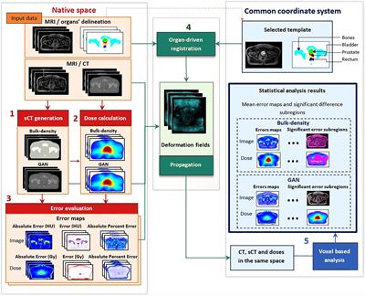 Quality assurance for MRI-only radiation therapy: A voxel-wise population-based methodology for image and dose assessment of synthetic CT generation methods